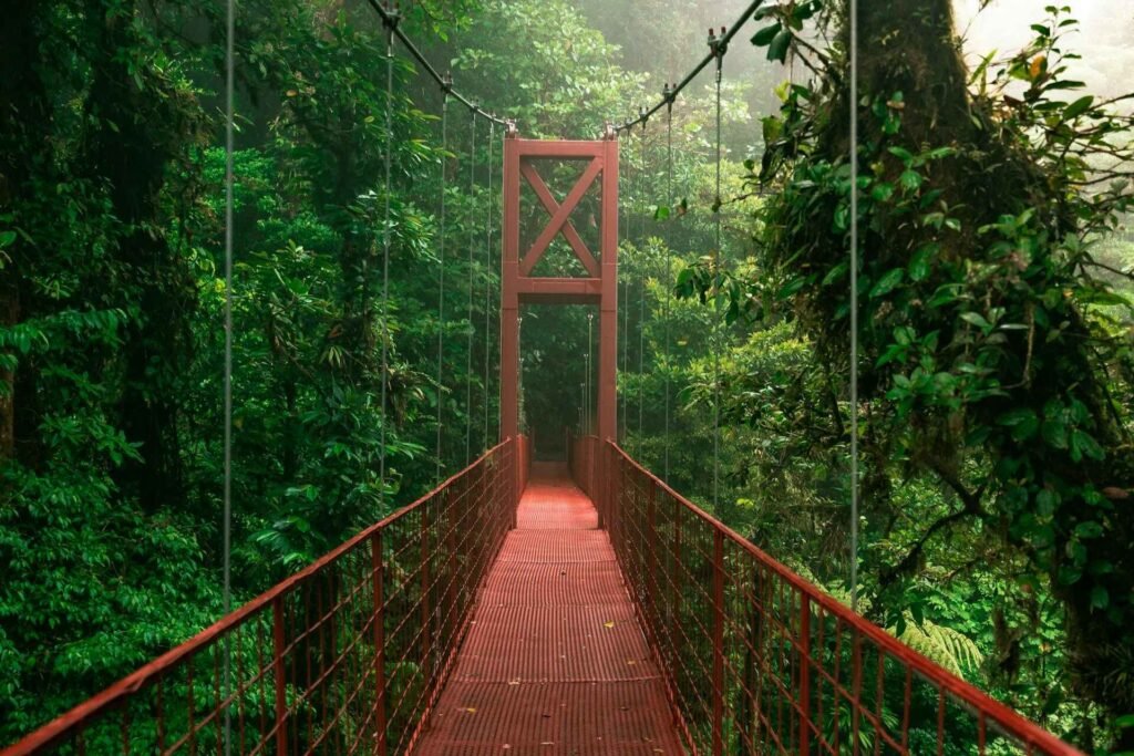 things to do in costa rica