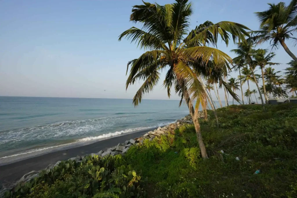 The Ultimate Explorer’s Guide: Discovering the Magic of Kerala’s Capital