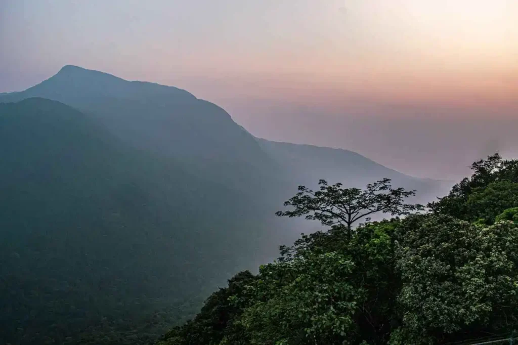 The Ultimate Guide to the Best Places to Visit in Wayanad: Your Passport to Kerala’s Emerald Paradise
