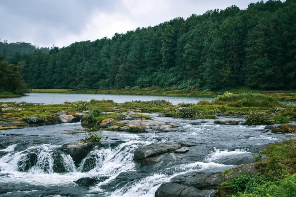 A serene view of Ooty Lake, one of the top places to visit in Ooty.