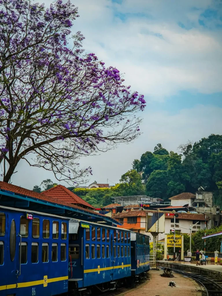 The Nilgiri Mountain Railway toy train, one of the most popular places to visit in Ooty.