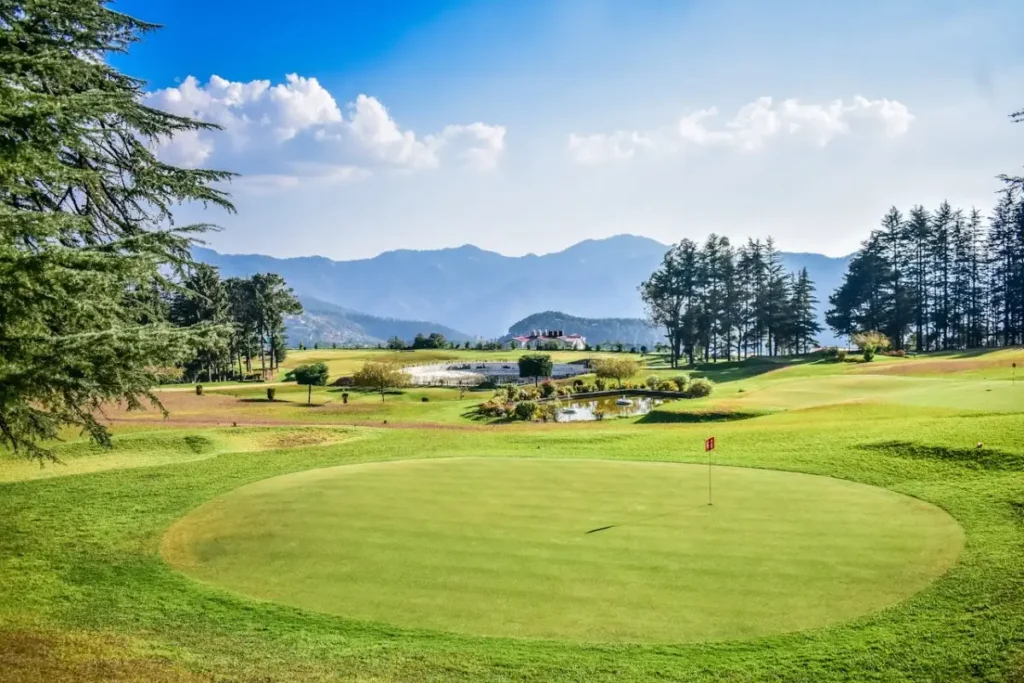 Rolling green lawns of the historic Ooty Golf Course, surrounded by tall pine and eucalyptus trees.